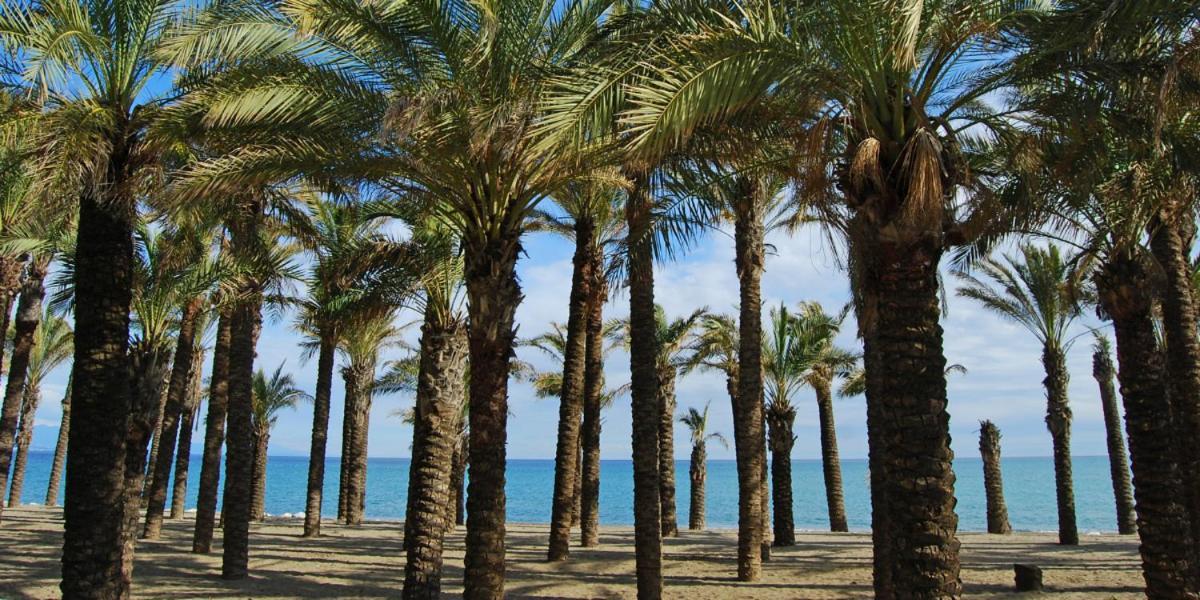 شقة Apartamento Carole Playa Bajondillo Torremolinos Beach - Playa A 30 Segundos - Wifi - Parking - Terraza المظهر الخارجي الصورة